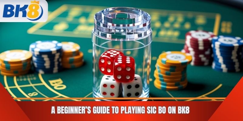 A Beginner’s Guide to Playing Sic Bo on BK8