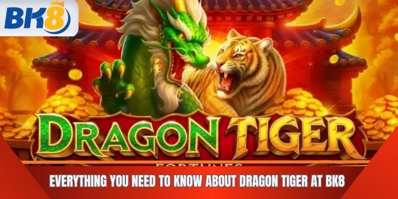 Everything You Need to Know About Dragon Tiger at BK8